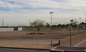 Vacant land near a road showing site conditions a land survey company evaluates before development