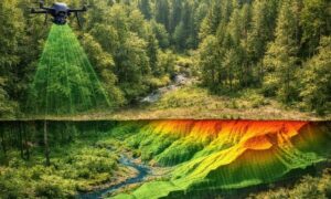 Lidar mapping view showing ground elevation beneath a wooded property before land clearing